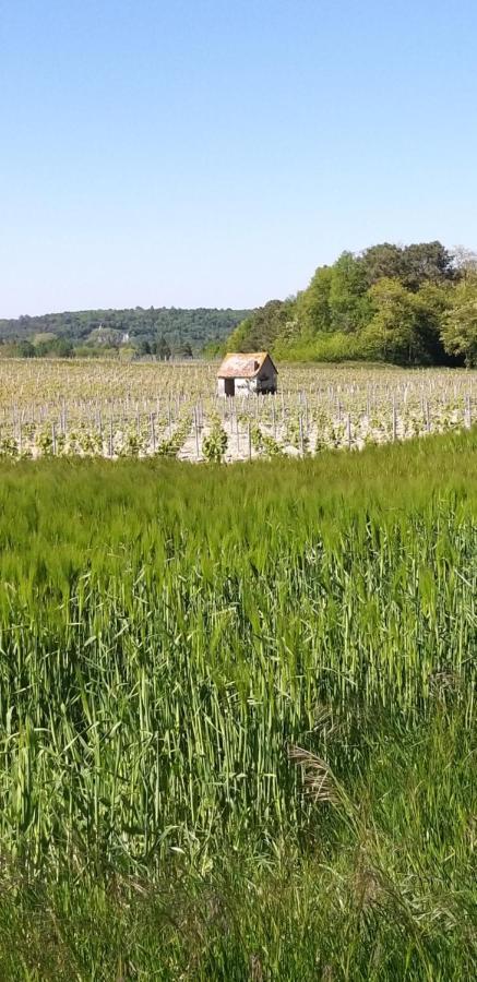 Le Clos De La Chesneraie Saint-Georges-sur-Cher Εξωτερικό φωτογραφία